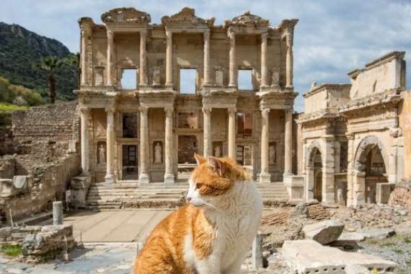 efes-pamukkale