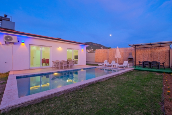 villa lion